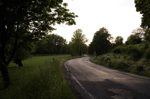 Die Straße verläuft parallel zum Grundstück. Zwischen den Bäumen fließt der Goldbach.