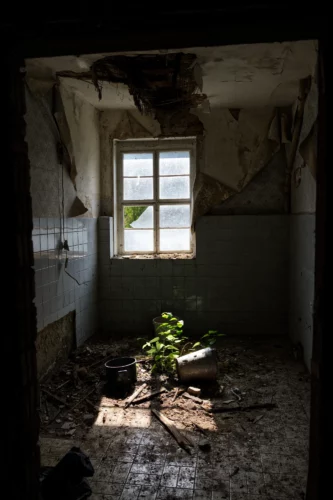 Romantik und Tragik kombiniert in diesem Stillleben im Verwalterhaus ;)